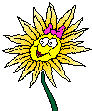 Sonnenblume_2